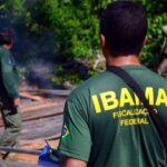 inscricoes-para-concurso-do-ibama-com-460-vagas-vao-ate-hoje-(18)