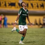 palmeiras-atropela-o-sao-bernardo-com-golacos-de-estevao-e-vai-a-semifinal-do-paulistao