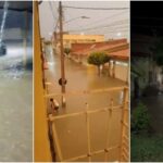 apos-forte-chuva,-varzea-alegre-tem-ruas-inundadas,-casas-alagadas-e-animais-ilhados;-video