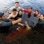 terapia-com-botos-ajuda-jovens-com-deficiencia