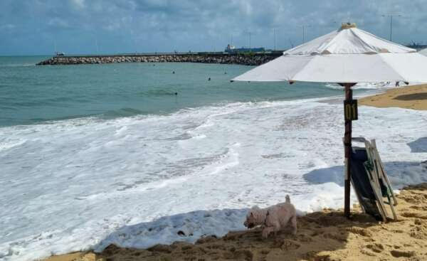 semace-divulga-boletim-de-balneabilidade-das-praias-de-fortaleza-neste-fim-de-semana