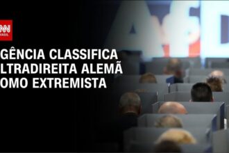 partido-alemao-afd-entra-com-acao-judicial-contra-classificacao-extremista