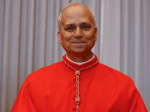 leao-xiv-celebra-nesta-sexta-feira-(9)-primeira-missa-como-papa