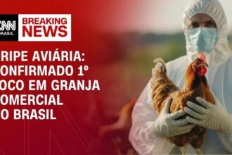 alckmin:-gripe-aviaria-e-limitada-ao-rs-e-protocolos-estao-sendo-cumpridos