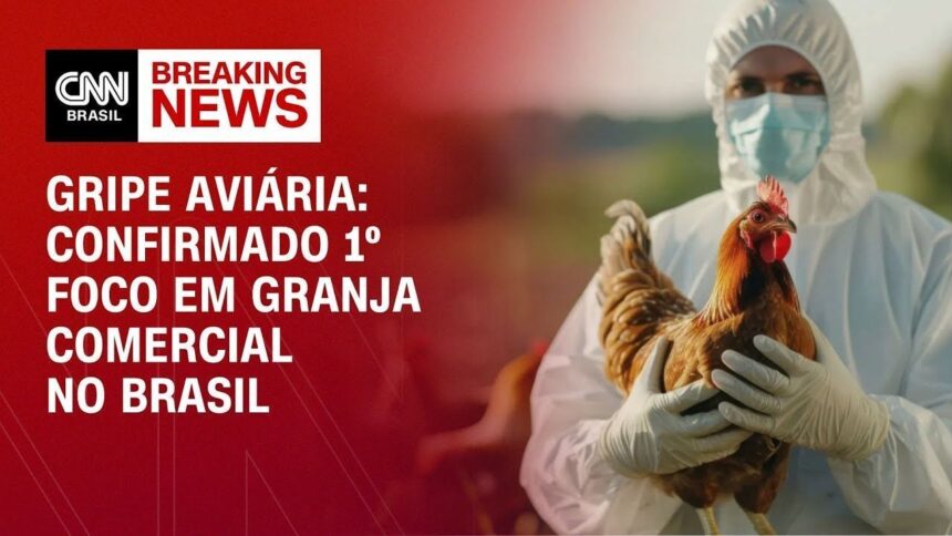 alckmin:-gripe-aviaria-e-limitada-ao-rs-e-protocolos-estao-sendo-cumpridos