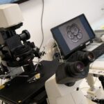 mutacao-genetica-em-esperma-doado-espalha-cancer-hereditario-em-8-paises-da-europa;-entenda