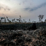 desmatamento-na-amazonia-registra-aumento-de-92%-em-maio