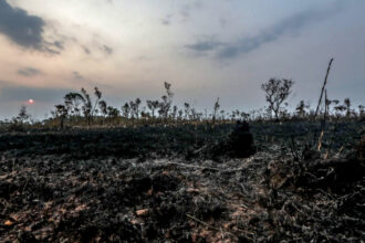 desmatamento-na-amazonia-registra-aumento-de-92%-em-maio