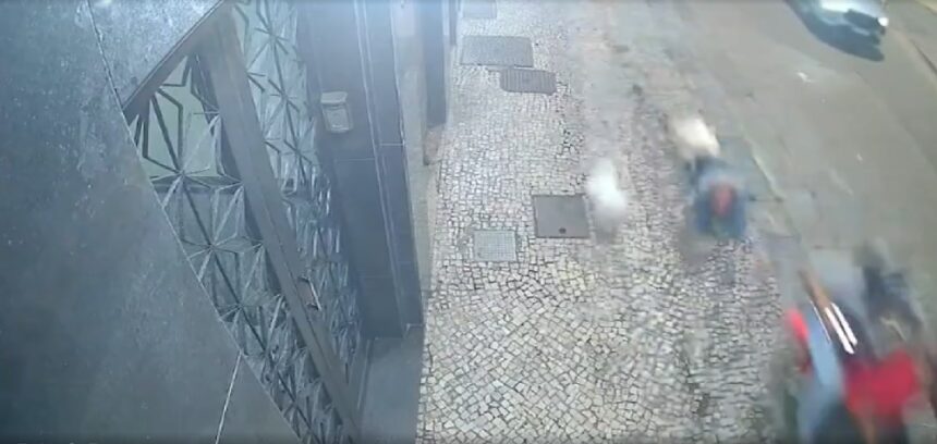 mulher-e-arrastada-por-motocicleta-no-rio-enquanto-passeava-com-cachorros