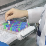 estudo-revela-ligacao-entre-bacteria-na-boca-e-cancer-de-cabeca-e-pescoco