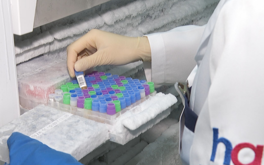 estudo-revela-ligacao-entre-bacteria-na-boca-e-cancer-de-cabeca-e-pescoco