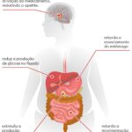 ozempic-passa-a-ser-vendido-somente-com-receita;-medicos-alertam-para-uso-abusivo-no-brasil