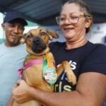 pet-ceara-movel-realiza-castracao-gratuita-de-animais-na-arena-castelao,-em-fortaleza
