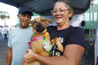 pet-ceara-movel-realiza-castracao-gratuita-de-animais-na-arena-castelao,-em-fortaleza