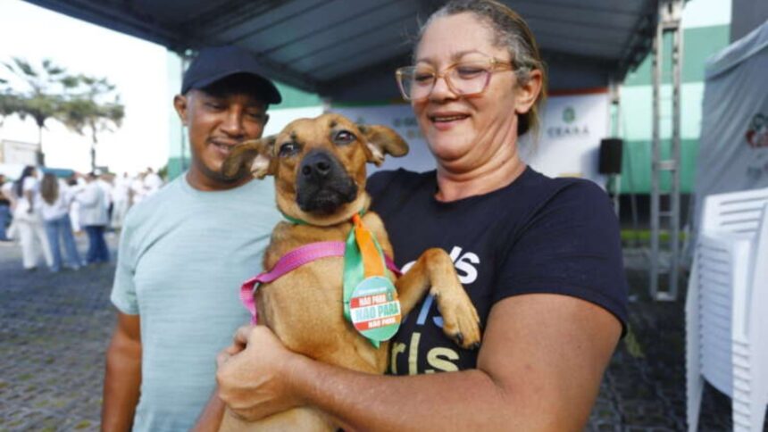 pet-ceara-movel-realiza-castracao-gratuita-de-animais-na-arena-castelao,-em-fortaleza