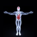 saude-do-intestino-e-reto:-conheca-os-principais-problemas-e-como-cuidar