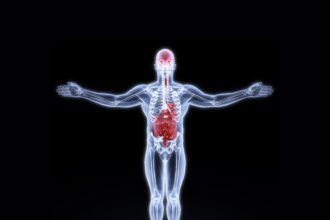 saude-do-intestino-e-reto:-conheca-os-principais-problemas-e-como-cuidar