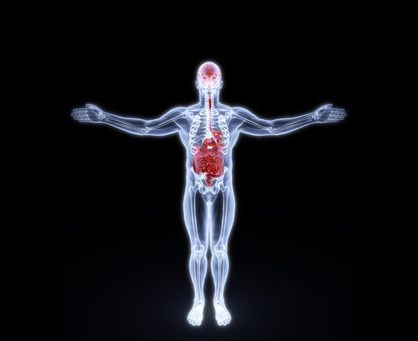 saude-do-intestino-e-reto:-conheca-os-principais-problemas-e-como-cuidar