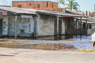 nivel-das-aguas-do-guaiba-preocupa-moradores-de-ilha-pintada