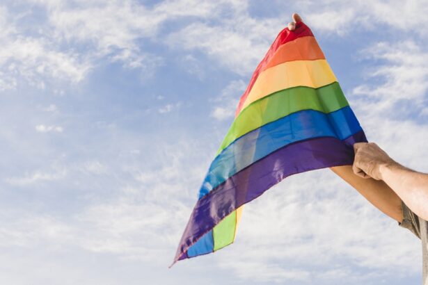 brasil-apoia-declaracao-internacional-pelos-direitos-lgbtqia+