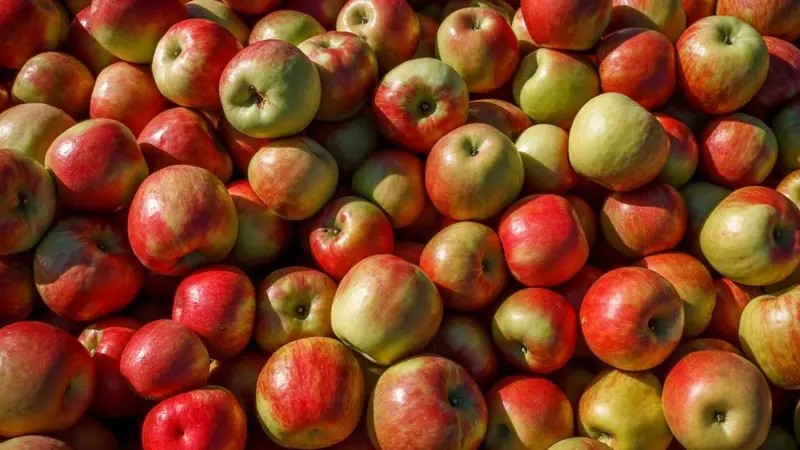 comer-uma-maca-por-dia-realmente-faz-bem-a-saude?